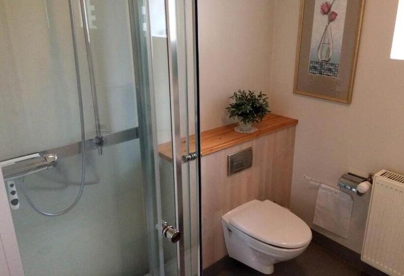 Номер Стандарт, Lolland