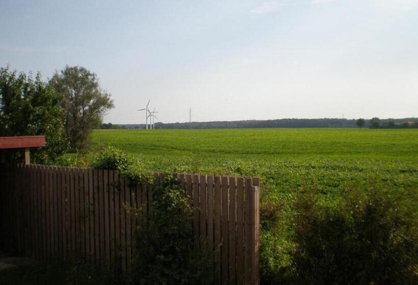 Номер Стандарт Трехместный, Lolland