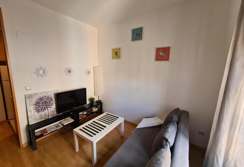 Апартаменты 1 Спальня, Dos Torres Pilar Suites  Pilares Vistas A La Ofrenda 3 Balcones A Calle Alfonso I