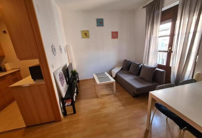 Апартаменты 1 Спальня, Dos Torres Pilar Suites  Pilares Vistas A La Ofrenda 3 Balcones A Calle Alfonso I