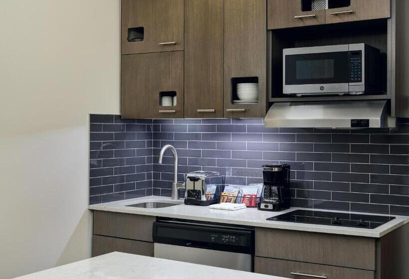 إستوديو قياسى سرير كينج, Hyatt House Atlanta Downtown