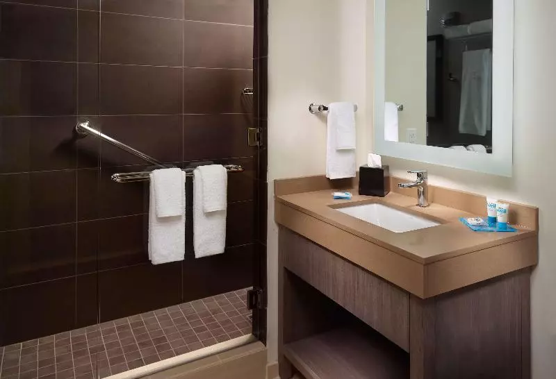 キングサイズベッドのスイートルーム, Hyatt House Atlanta Downtown