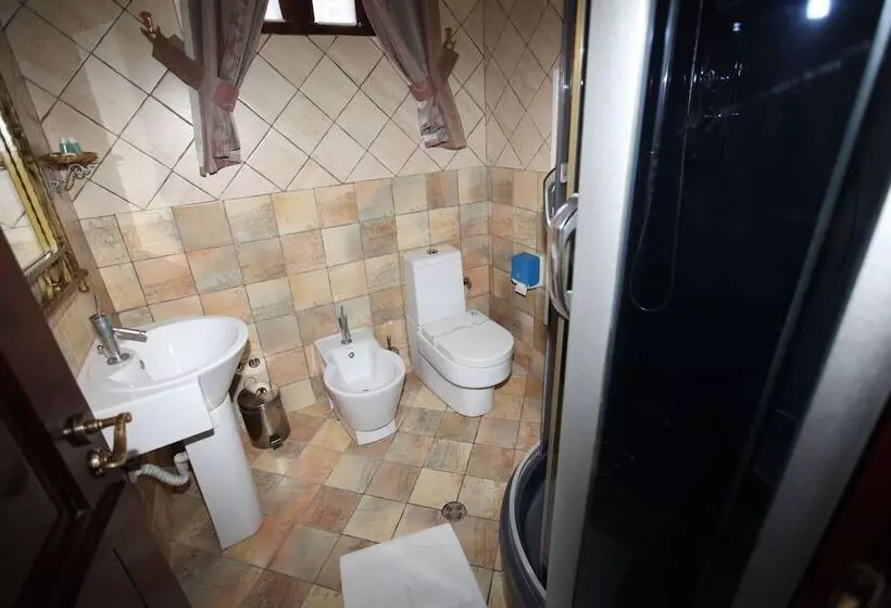 اتاق استاندارد, Iliada