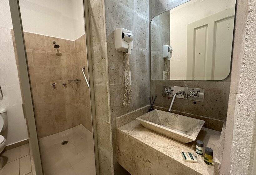 اتاق لوکس, Inhouse León