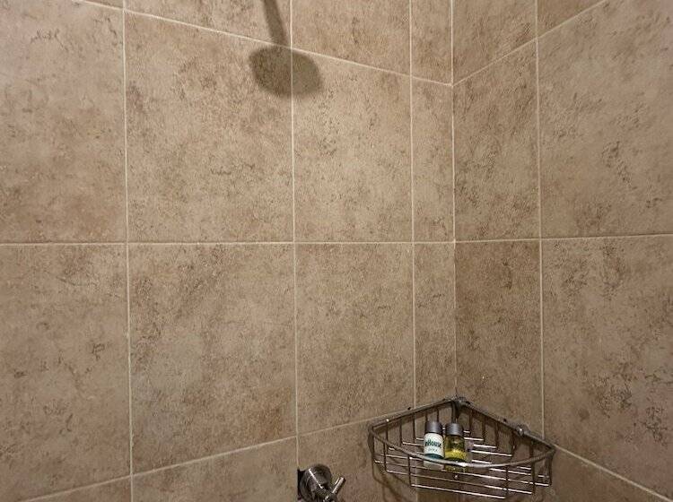 اتاق لوکس, Inhouse León