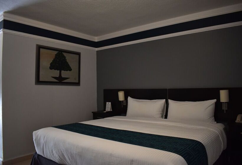 اتاق لوکس, Inhouse León