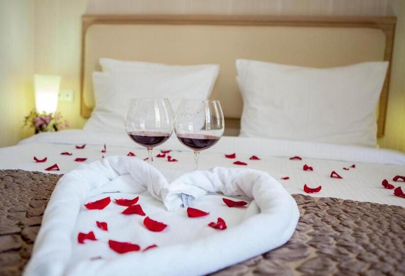 غرفة قياسية فردية, Rustaveli Palace