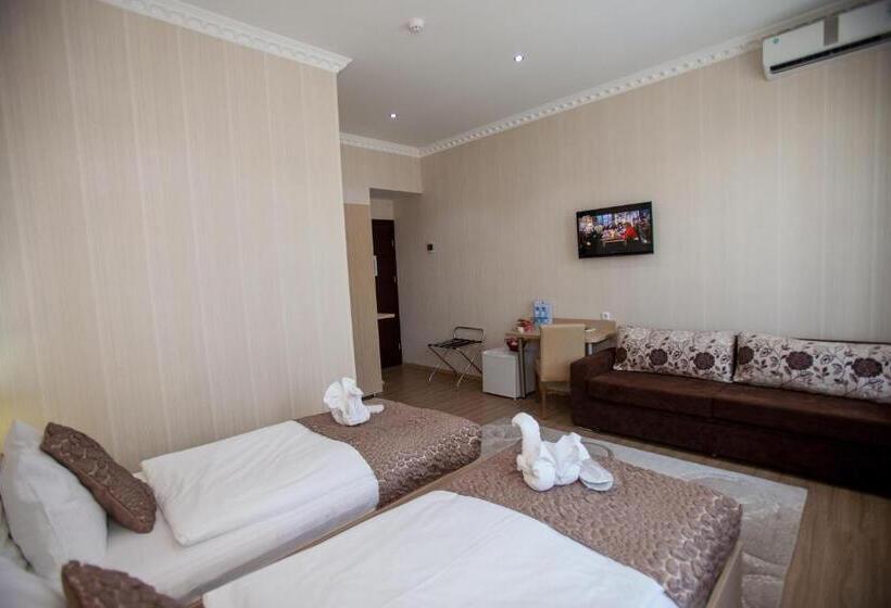 جناح جونيور, Rustaveli Palace