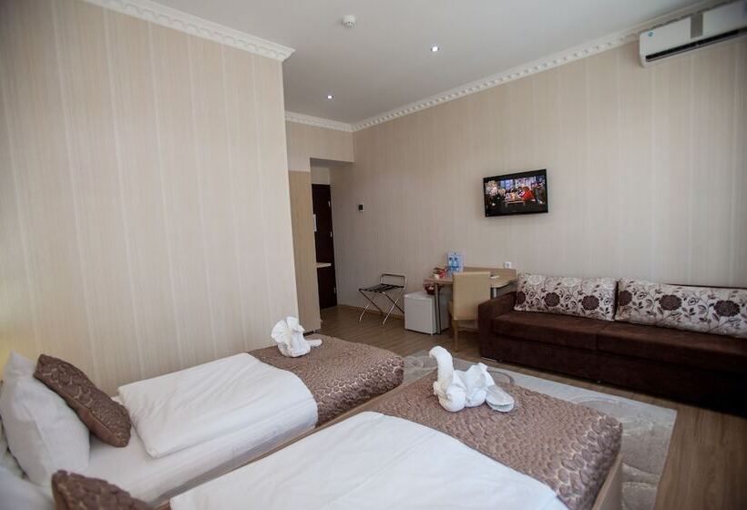 جناح جونيور, Rustaveli Palace