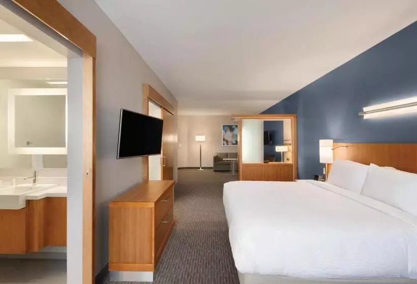キングサイドベッドのスタンダードワンルーム, Springhill Suites By Marriott Houston Northwest