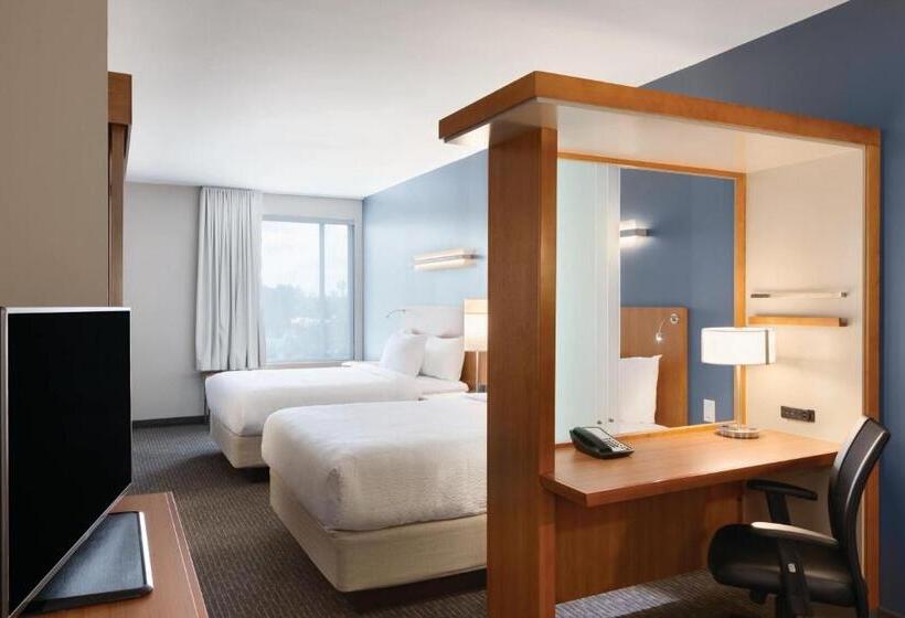 标准工作室, Springhill Suites By Marriott Houston Northwest