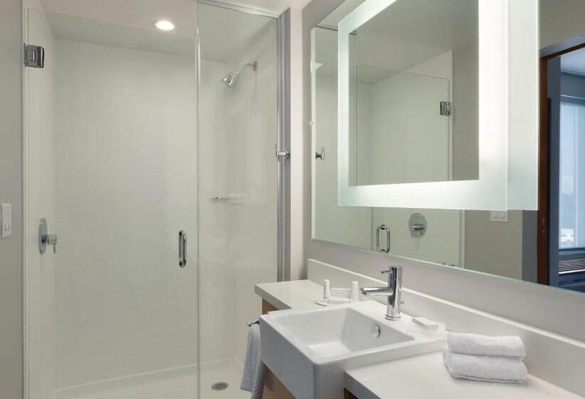 带大床的套房, Springhill Suites By Marriott Houston Northwest