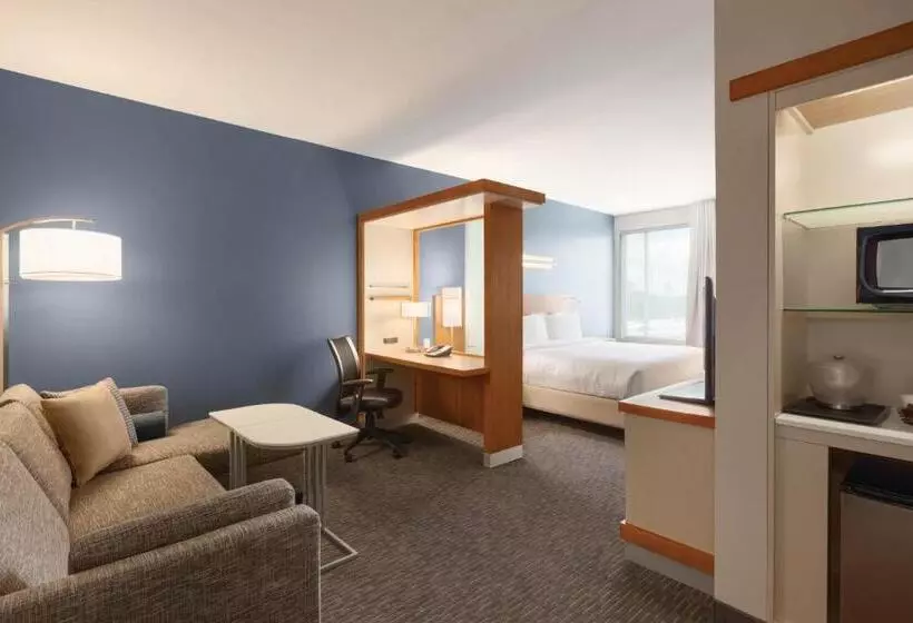 キングサイズベッドのスイートルーム, Springhill Suites By Marriott Houston Northwest