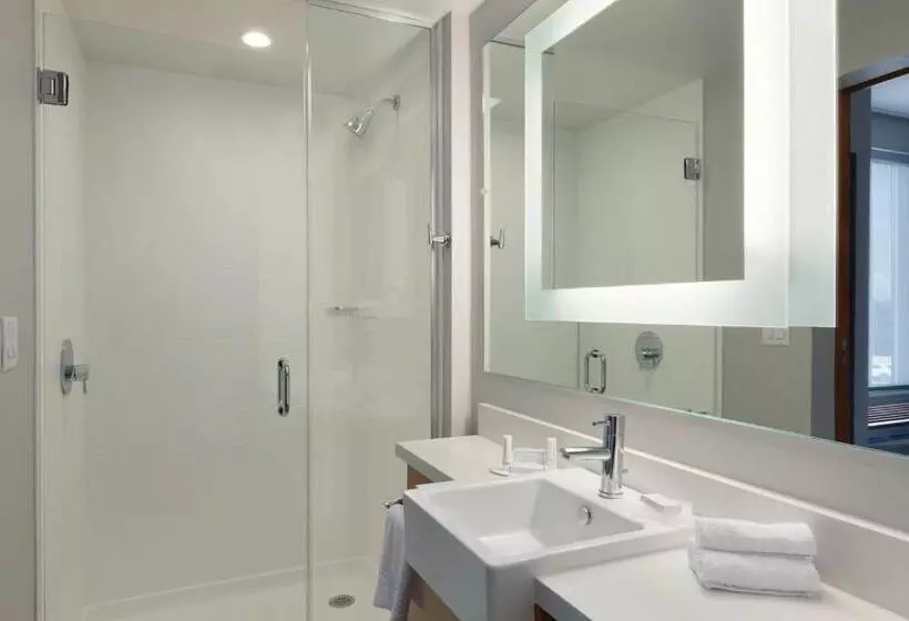 キングサイドベッドのスタンダードワンルーム, Springhill Suites By Marriott Houston Northwest
