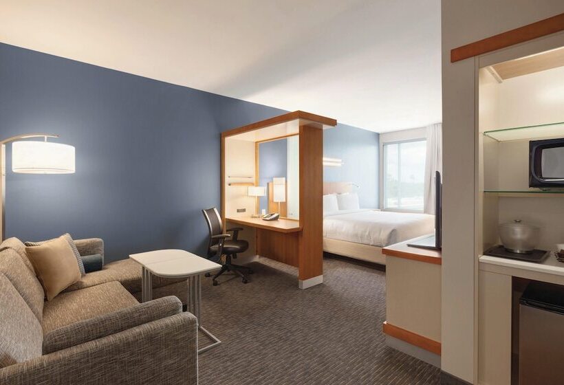套房, Springhill Suites By Marriott Houston Northwest
