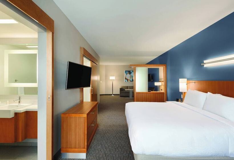 套房, Springhill Suites By Marriott Houston Northwest