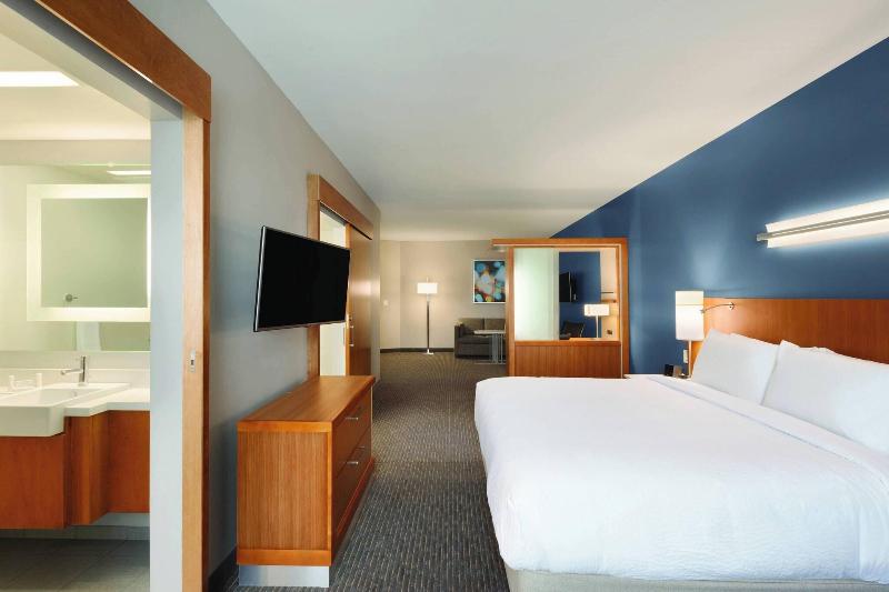 带大床的标准工作室, Springhill Suites By Marriott Houston Northwest