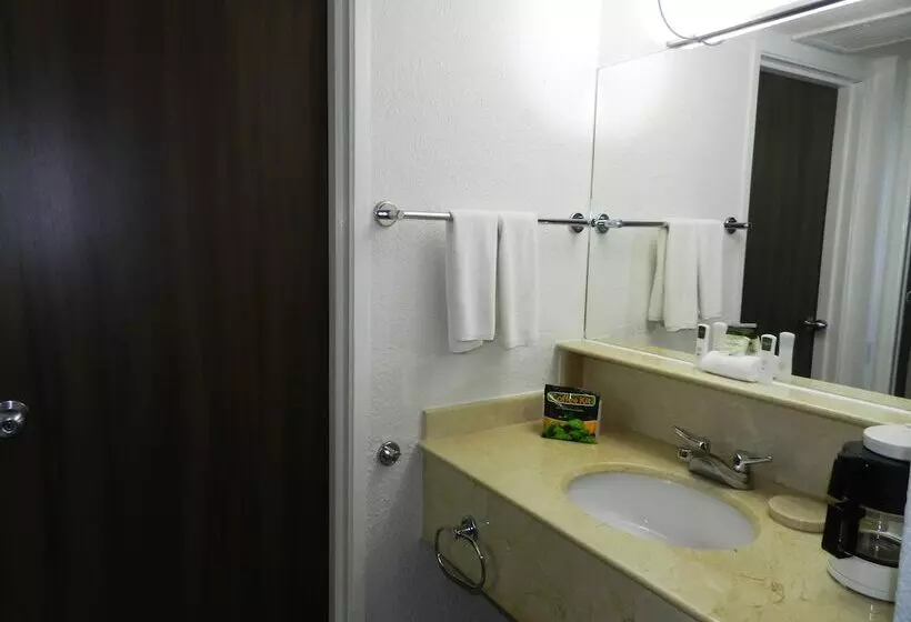 ２ダブルベッドのスタンダードルーム, Villa Florida Veracruz