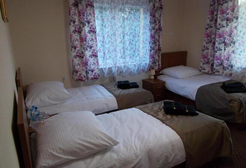 Номер Стандарт Трехместный, Willa Poniatowskiego