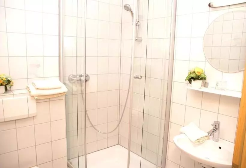 اتاق استاندارد یک نفره, Gasthaus Und Landhotel Wiedmann