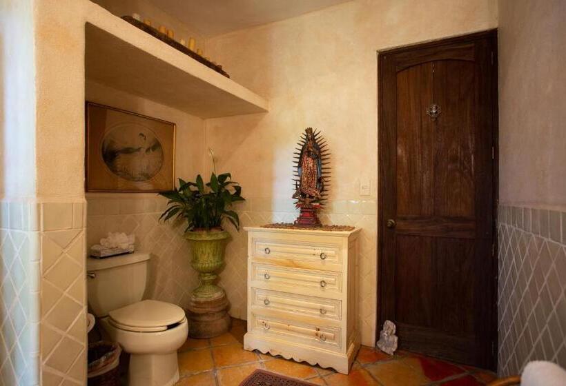 Juniorsvit, Hacienda San Angel