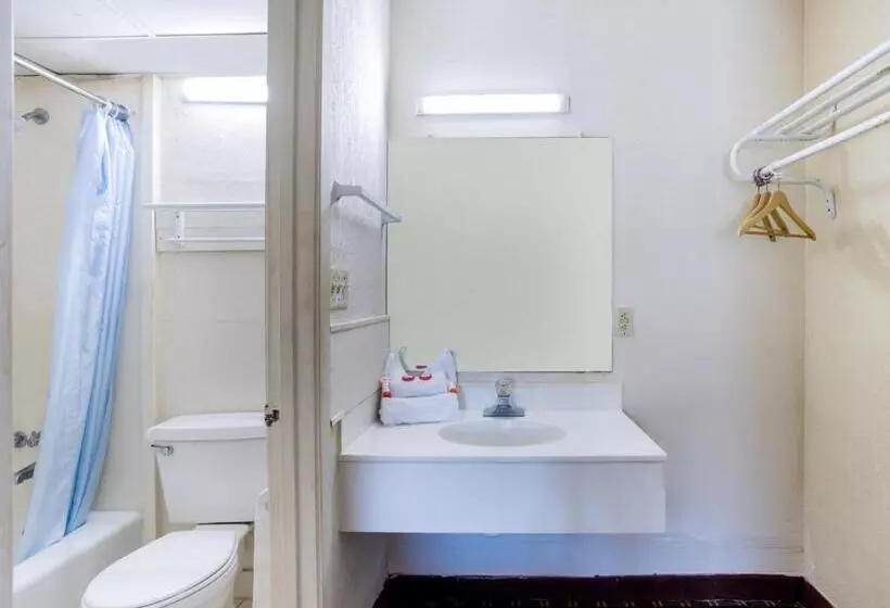 Sviitti, Palm Court Inn & Suites