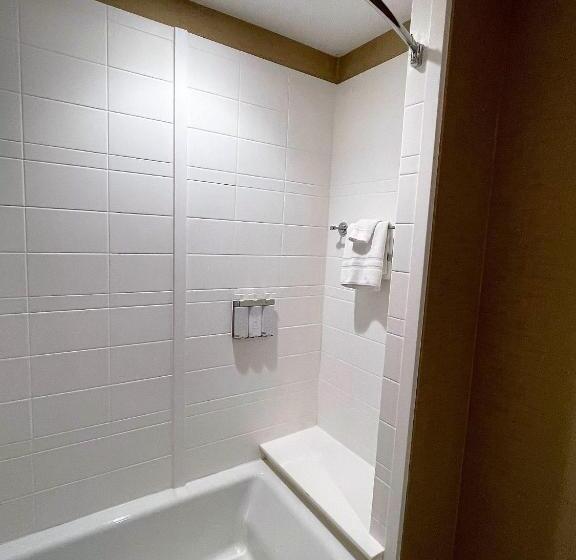 장애인을 위한 스위트, Wyndham Avon