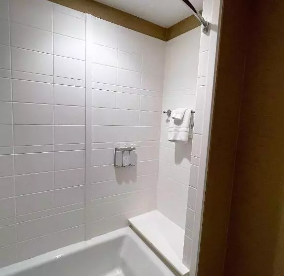 身障者適用スイートルーム, Wyndham Avon