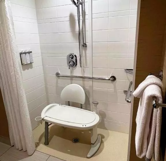 身障者適用スイートルーム, Wyndham Avon