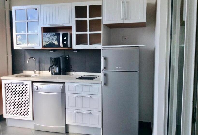 آپارتمان دوبلکس 1 خوابه, Résidence Le Vallon Guadeloupe Parc Piscine Appartements & Studios & Services Hôteliers à La Carte