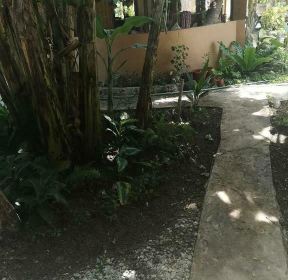 패밀리 룸, Two Crazy Monkeys