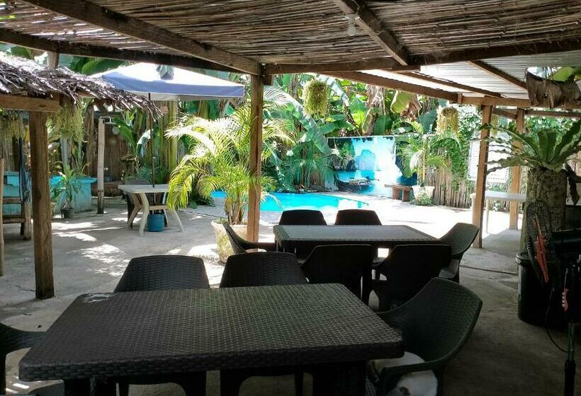 패밀리 룸, Two Crazy Monkeys