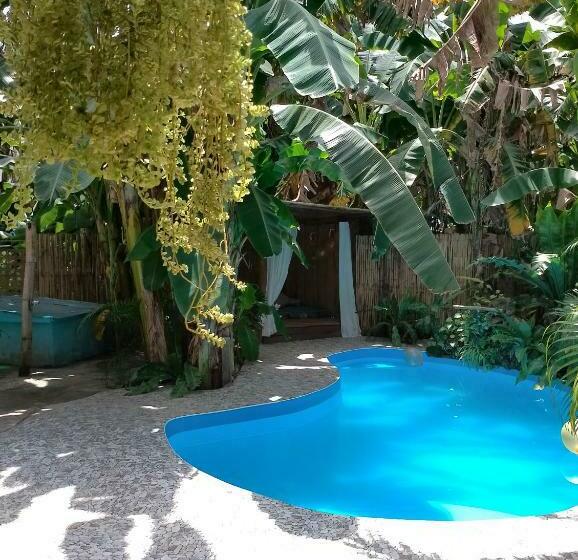 패밀리 룸, Two Crazy Monkeys