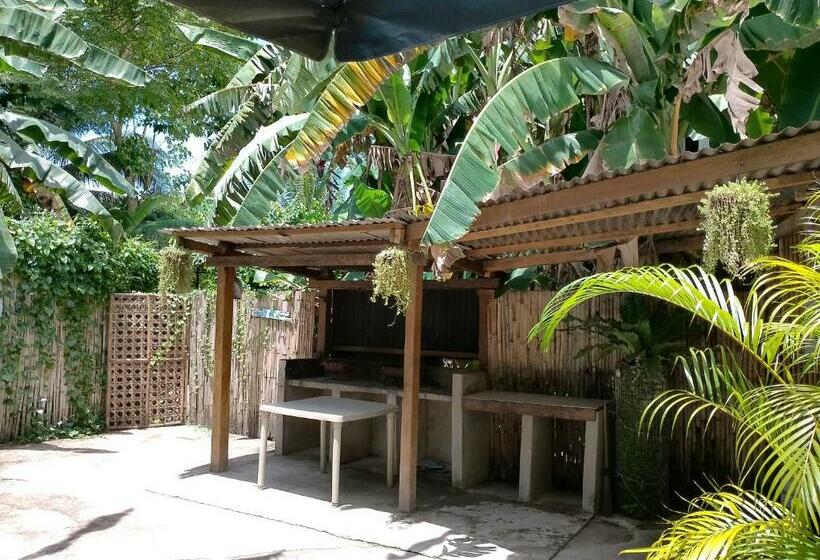 패밀리 룸, Two Crazy Monkeys