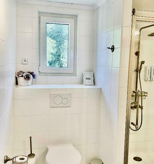 Апартаменты 1 Спальня, Penzion Kokorin Forest Villa