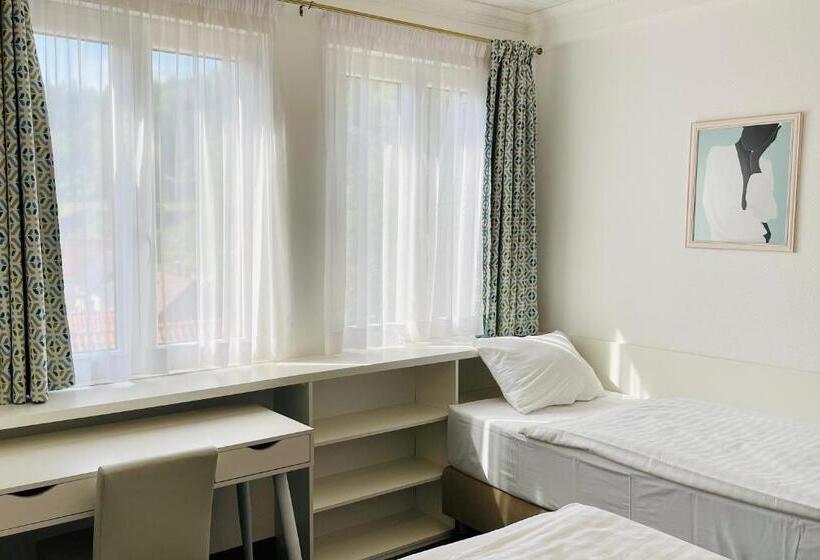 Трехместный Номер Стандарт Совместная Ванная, Penzion Kokorin Forest Villa