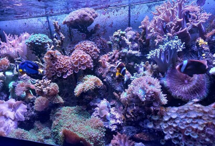 带2个卧室的套房, Casa Emilia