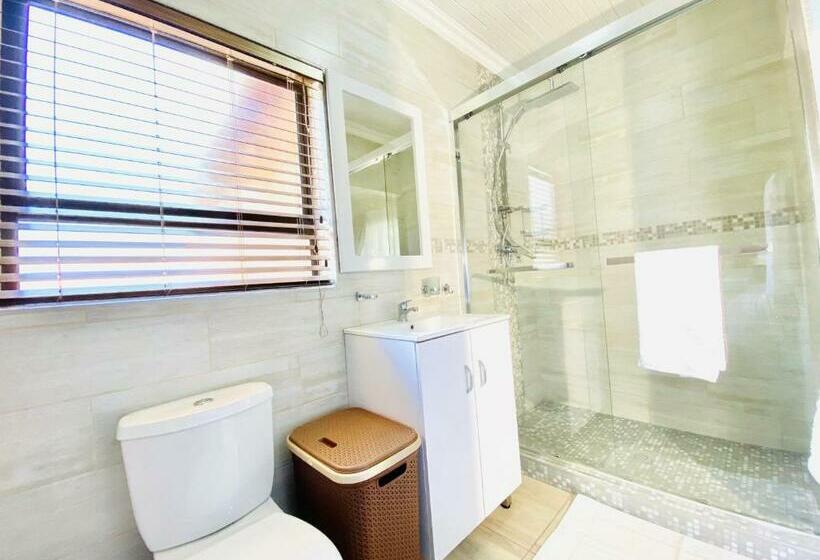 Executive Studio, C&c Hotel Vibes Randpark Ridge Jhb 14 Units Available