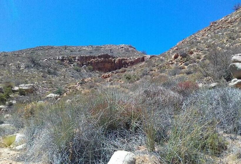 חדר סטנדרט, Hollywood Lodge