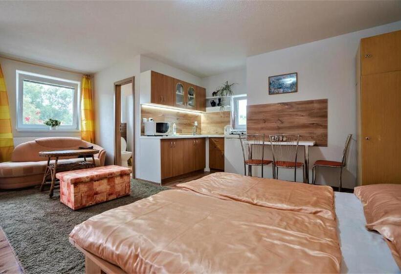 带1个卧室的公寓, Apartmány Anna