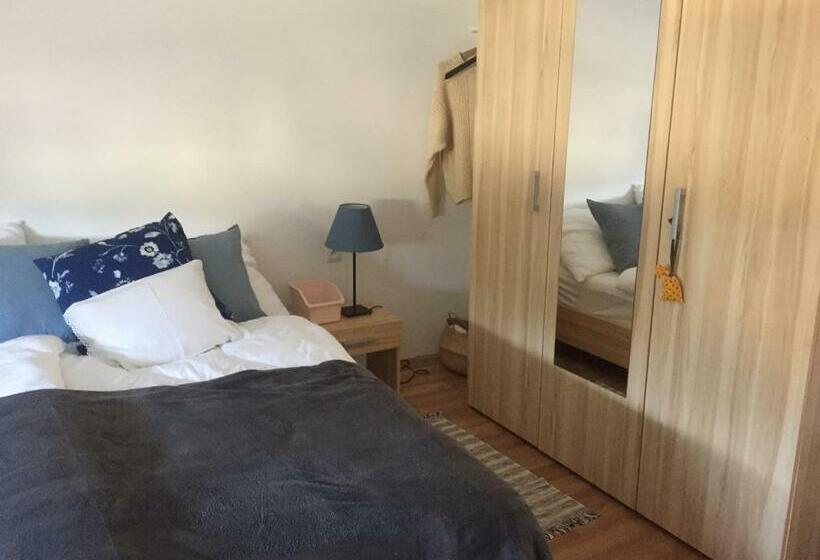 منزل غرفة نوم واحدة, Villa Dolne Saliby