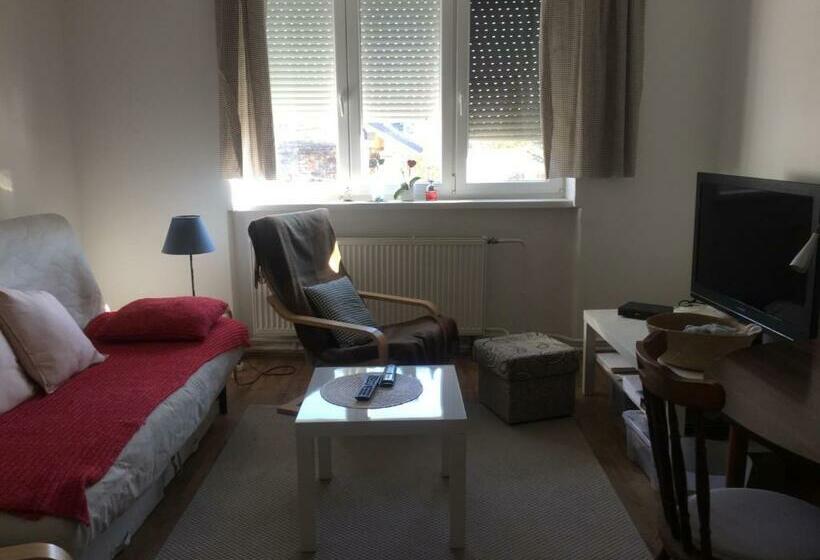 منزل غرفة نوم واحدة, Villa Dolne Saliby