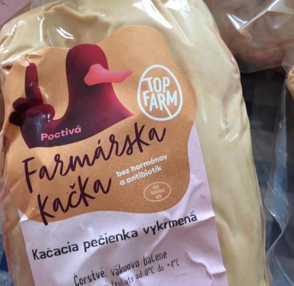 منزل غرفة نوم واحدة, Villa Dolne Saliby