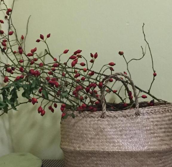 منزل غرفة نوم واحدة, Villa Dolne Saliby