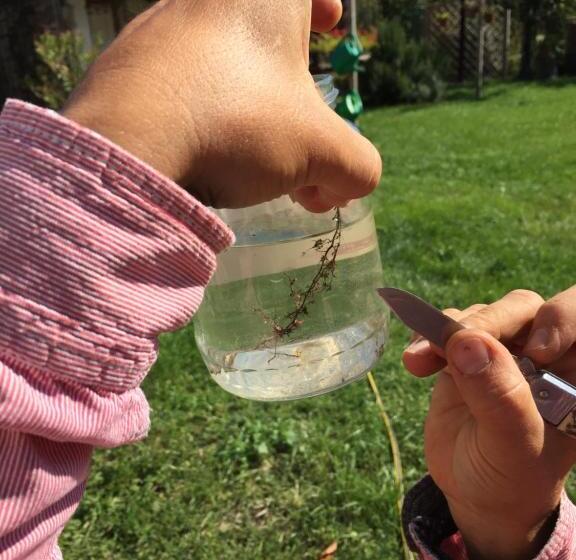 منزل غرفة نوم واحدة, Villa Dolne Saliby