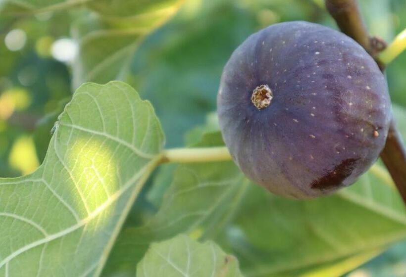 Casa 2 Dormitórios, Cockburn Retreat Home 柏斯悠閒民宿