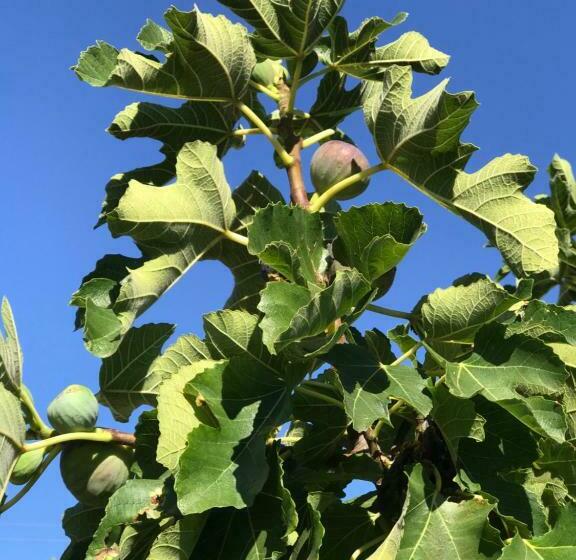 Casa 2 Dormitórios, Cockburn Retreat Home 柏斯悠閒民宿