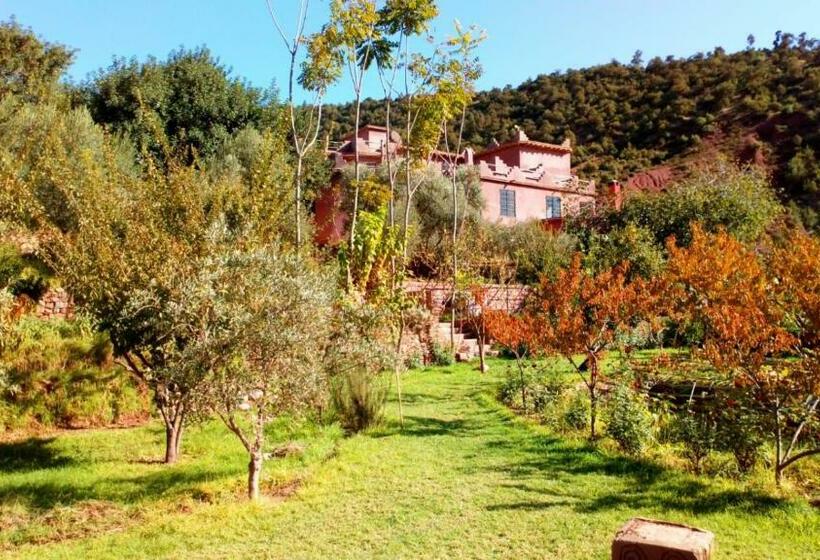 اتاق استاندارد, Ourika Timalizène Le Jardin Des Délices