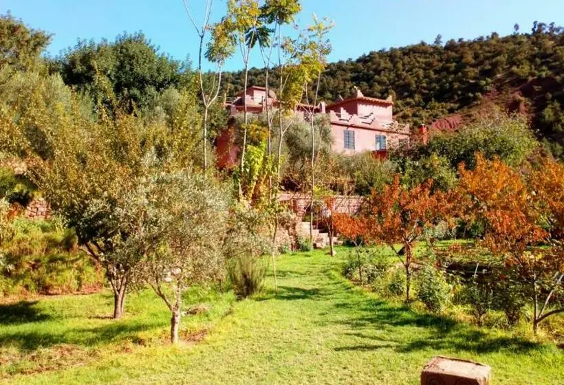スタンダードルーム, Ourika Timalizène Le Jardin Des Délices