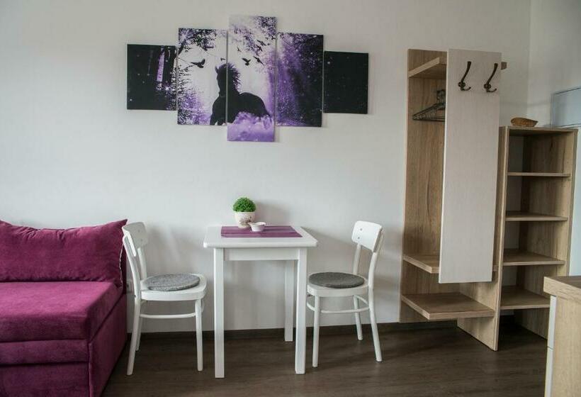 חדר דלוקס, Penzion U červené Podkovy